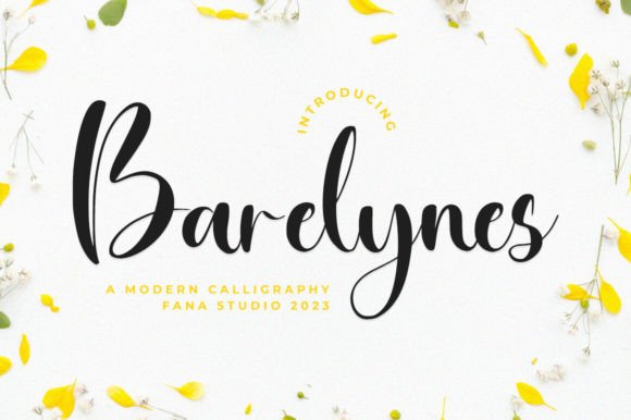 Enhance Your Web Design with Barelynes Font