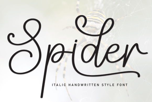 Spider: A Clean and Friendly Handwritten Font for Designers
