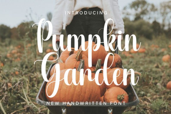 Why Pumpkin Garden Font Is Your Secret Brand Upgrade